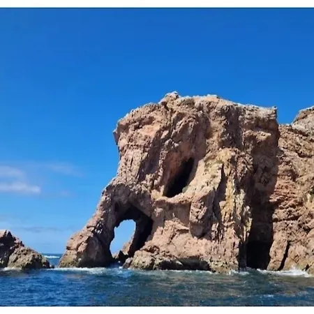 D'yellow House - And Countryside * Carqueja