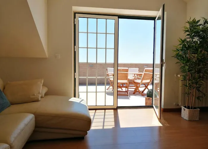 D'yellow House - And Countryside * Carqueja